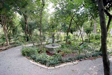 Fountain